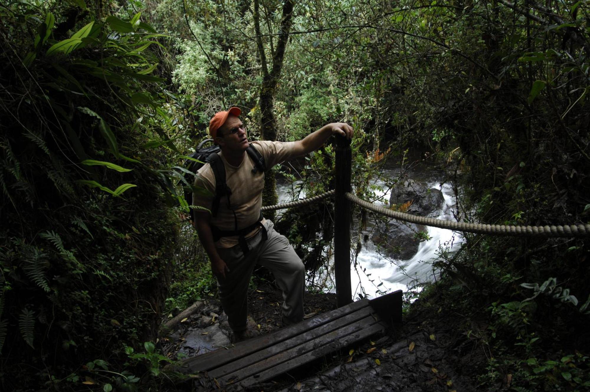 Termas De Papallacta Eksteriør bilde A bridge in the rainforest