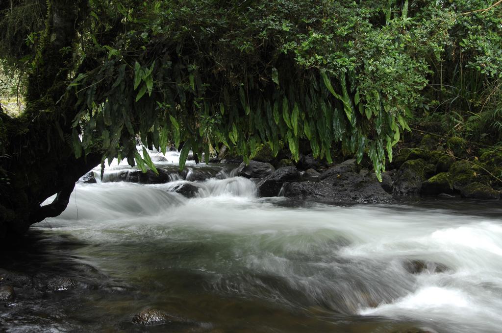 Termas De Papallacta Eksteriør bilde